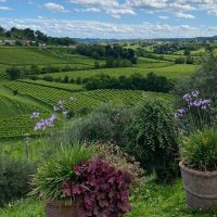 Day Trips & Excursions