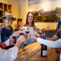 Food, Wine & Nightlife