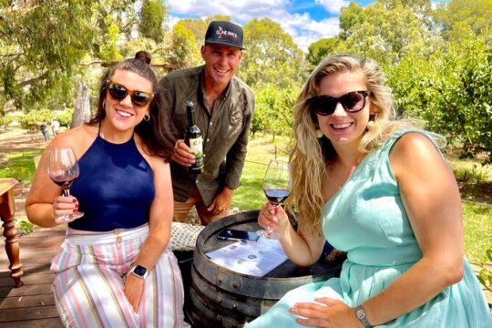 Halloween in McLaren Vale