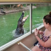 Half-day Tours
