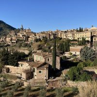 Private & Custom Tours