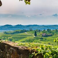 Classic Car Tours