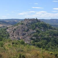 Shore Excursions