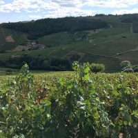 Day Trips & Excursions