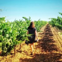 Food, Wine & Nightlife