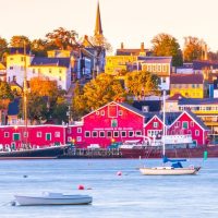 Bus & Minivan Tours