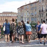 Half-day Tours