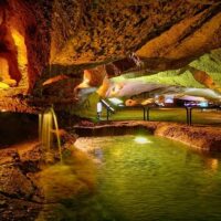 Bus & Minivan Tours