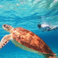 Sustainable Tours