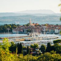 Wine Tasting & Winery Tours