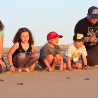 Holiday & Seasonal Tours