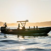 Holiday & Seasonal Tours