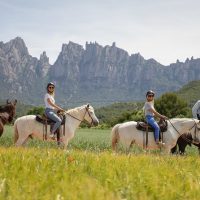 Horseback Riding