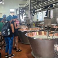 Full-day Tours