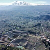 Private & Custom Tours