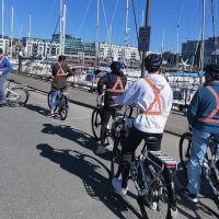 City Tours