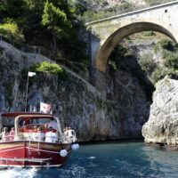 Boat Tours