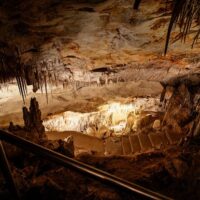 Private Sightseeing Tours