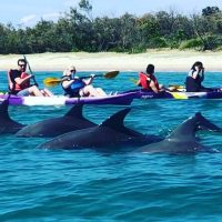 Kayaking & Canoeing