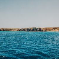 Boat Tours