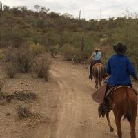 Horseback Riding
