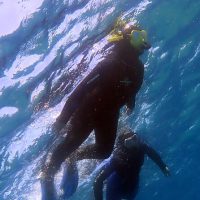 Snorkeling