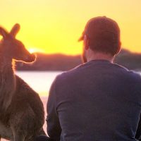 Day Trips & Excursions