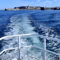 Cruises, Sailing & Water Tours