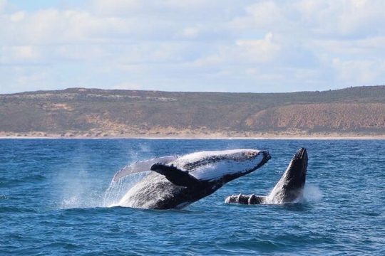Easter in Kalbarri