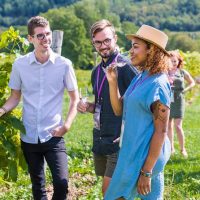 Full-day Tours