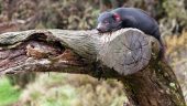 Love wildlife? This is a must visit.