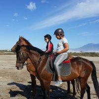 Horseback Riding