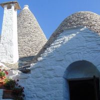 Cultural Tours