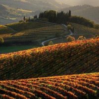 Half-day Tours