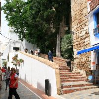 Shopping Tours