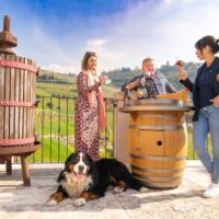 Full-day Tours