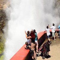 Bus & Minivan Tours