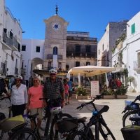 Half-day Tours