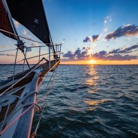 Boat Tours