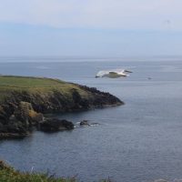 Private & Custom Tours