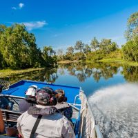 Airboat Tours