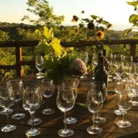 Food, Wine & Nightlife