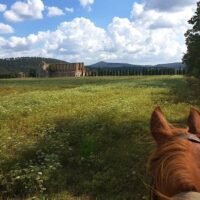 Horseback Riding