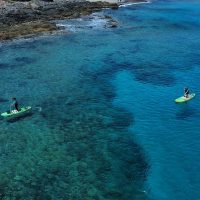 Ports of Call Tours