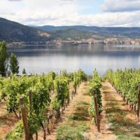 Luxury Tours
