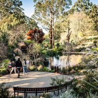 Private & Custom Tours