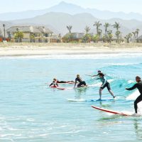 Cruises, Sailing & Water Tours