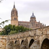 Half-day Tours