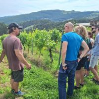 Wine Tasting & Winery Tours