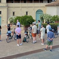 Tours & Sightseeing